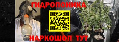 гидра Краснодар