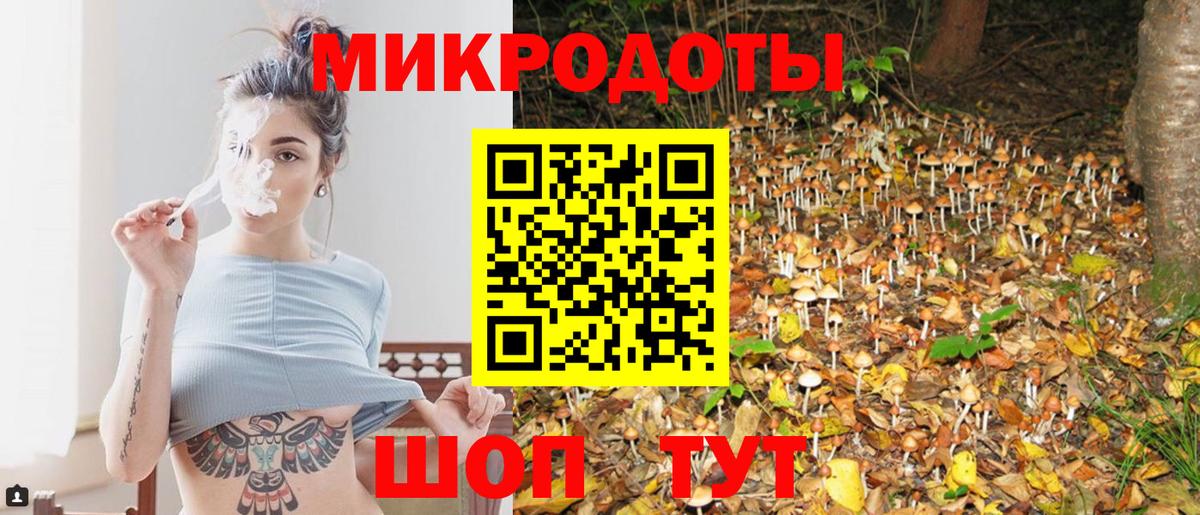 Псилоцибиновые грибы прущие грибы  Вход с VPN  Чусовой 