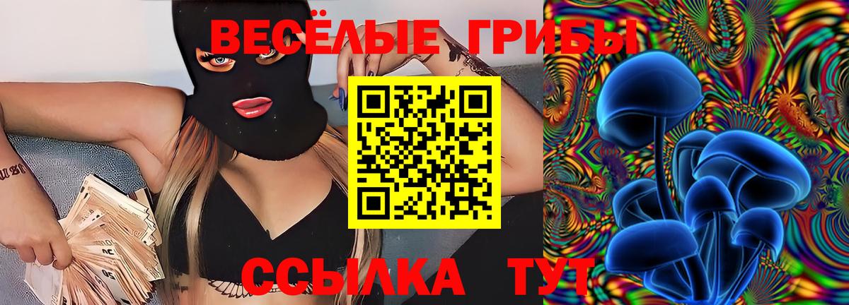 APVP Чусовой